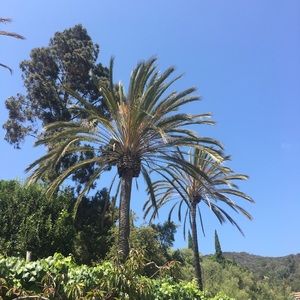 Meet your Posher, Paul